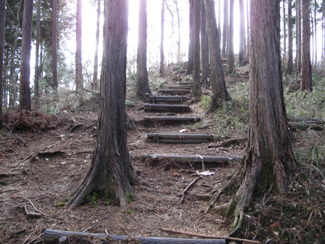 20161229hike (42)